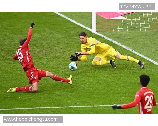 瑞士与喀麦隆足球明星的辉煌历程与精彩对决